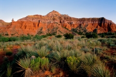 Palo Duro Canyon, Canyon, TX